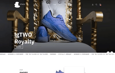 Ethics screen project screenshot